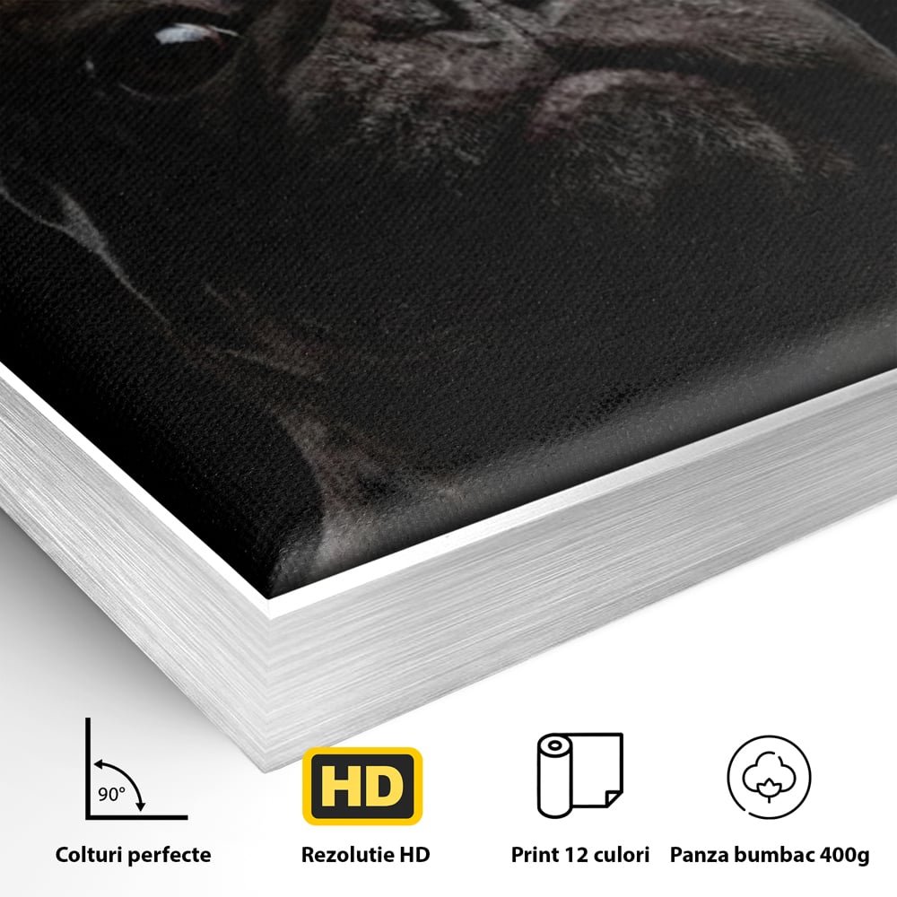 Leinwand Premium Canvas Wandkunst, LuxCanva® M1260, Bulldogge im Schatten, Porträt, Bulldogge, Bulldogge, Hund, Hund, dunkel, kynologisch, Tier, ausdrucksstark, realistisch, Rasse, Büro, Wohnen, Kinderzimmer