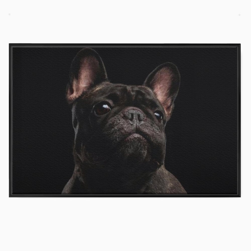 Leinwand Premium Canvas Wandkunst, LuxCanva® M1260, Bulldogge im Schatten, Porträt, Bulldogge, Bulldogge, Hund, Hund, dunkel, kynologisch, Tier, ausdrucksstark, realistisch, Rasse, Büro, Wohnen, Kinderzimmer