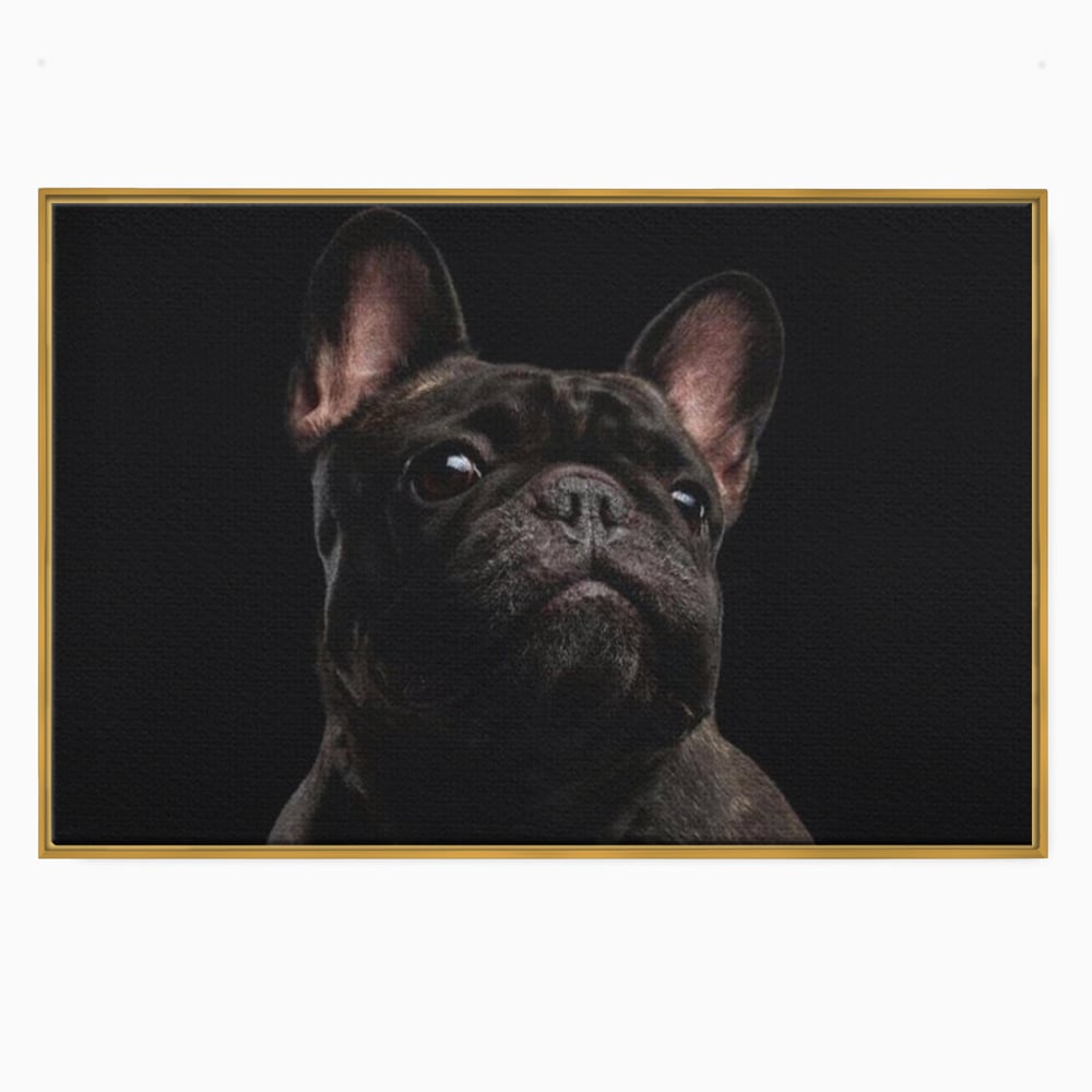 Leinwand Premium Canvas Wandkunst, LuxCanva® M1260, Bulldogge im Schatten, Porträt, Bulldogge, Bulldogge, Hund, Hund, dunkel, kynologisch, Tier, ausdrucksstark, realistisch, Rasse, Büro, Wohnen, Kinderzimmer