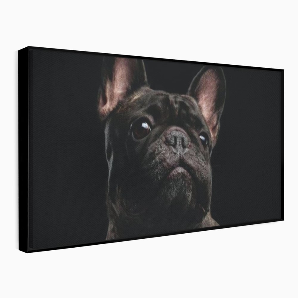 Leinwand Premium Canvas Wandkunst, LuxCanva® M1260, Bulldogge im Schatten, Porträt, Bulldogge, Bulldogge, Hund, Hund, dunkel, kynologisch, Tier, ausdrucksstark, realistisch, Rasse, Büro, Wohnen, Kinderzimmer