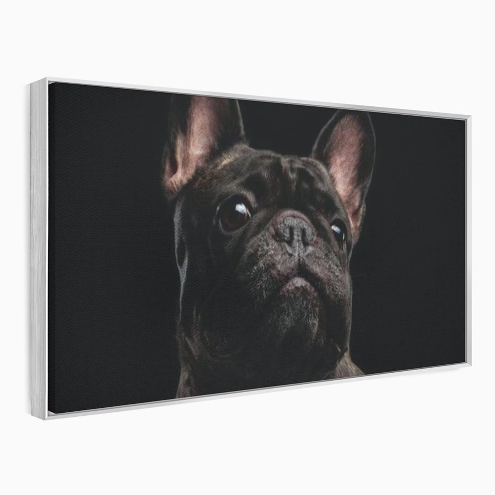 Leinwand Premium Canvas Wandkunst, LuxCanva® M1260, Bulldogge im Schatten, Porträt, Bulldogge, Bulldogge, Hund, Hund, dunkel, kynologisch, Tier, ausdrucksstark, realistisch, Rasse, Büro, Wohnen, Kinderzimmer