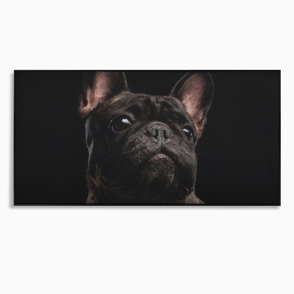 Leinwand Premium Canvas Wandkunst, LuxCanva® M1260, Bulldogge im Schatten, Porträt, Bulldogge, Bulldogge, Hund, Hund, dunkel, kynologisch, Tier, ausdrucksstark, realistisch, Rasse, Büro, Wohnen, Kinderzimmer