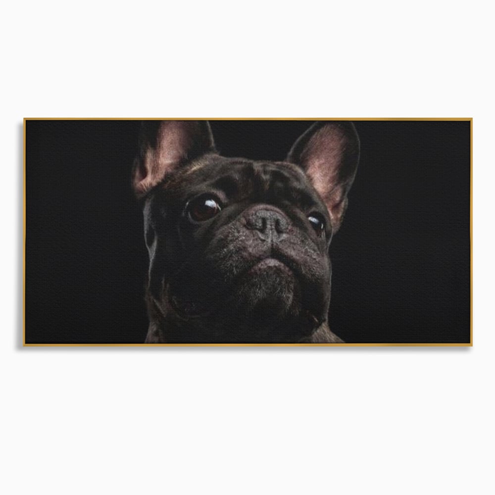 Leinwand Premium Canvas Wandkunst, LuxCanva® M1260, Bulldogge im Schatten, Porträt, Bulldogge, Bulldogge, Hund, Hund, dunkel, kynologisch, Tier, ausdrucksstark, realistisch, Rasse, Büro, Wohnen, Kinderzimmer