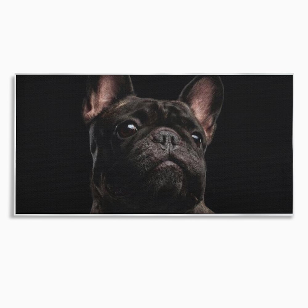 Leinwand Premium Canvas Wandkunst, LuxCanva® M1260, Bulldogge im Schatten, Porträt, Bulldogge, Bulldogge, Hund, Hund, dunkel, kynologisch, Tier, ausdrucksstark, realistisch, Rasse, Büro, Wohnen, Kinderzimmer