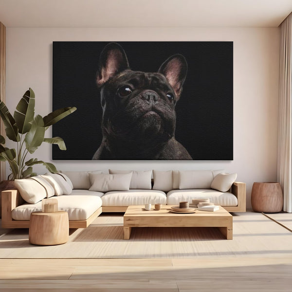 Leinwand Premium Canvas Wandkunst, LuxCanva® M1260, Bulldogge im Schatten, Porträt, Bulldogge, Bulldogge, Hund, Hund, dunkel, kynologisch, Tier, ausdrucksstark, realistisch, Rasse, Büro, Wohnen, Kinderzimmer
