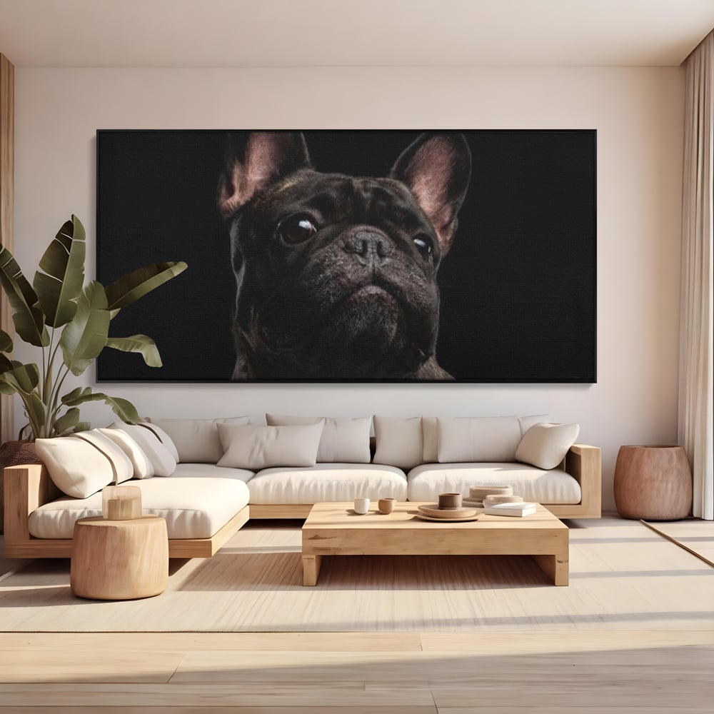 Leinwand Premium Canvas Wandkunst, LuxCanva® M1260, Bulldogge im Schatten, Porträt, Bulldogge, Bulldogge, Hund, Hund, dunkel, kynologisch, Tier, ausdrucksstark, realistisch, Rasse, Büro, Wohnen, Kinderzimmer