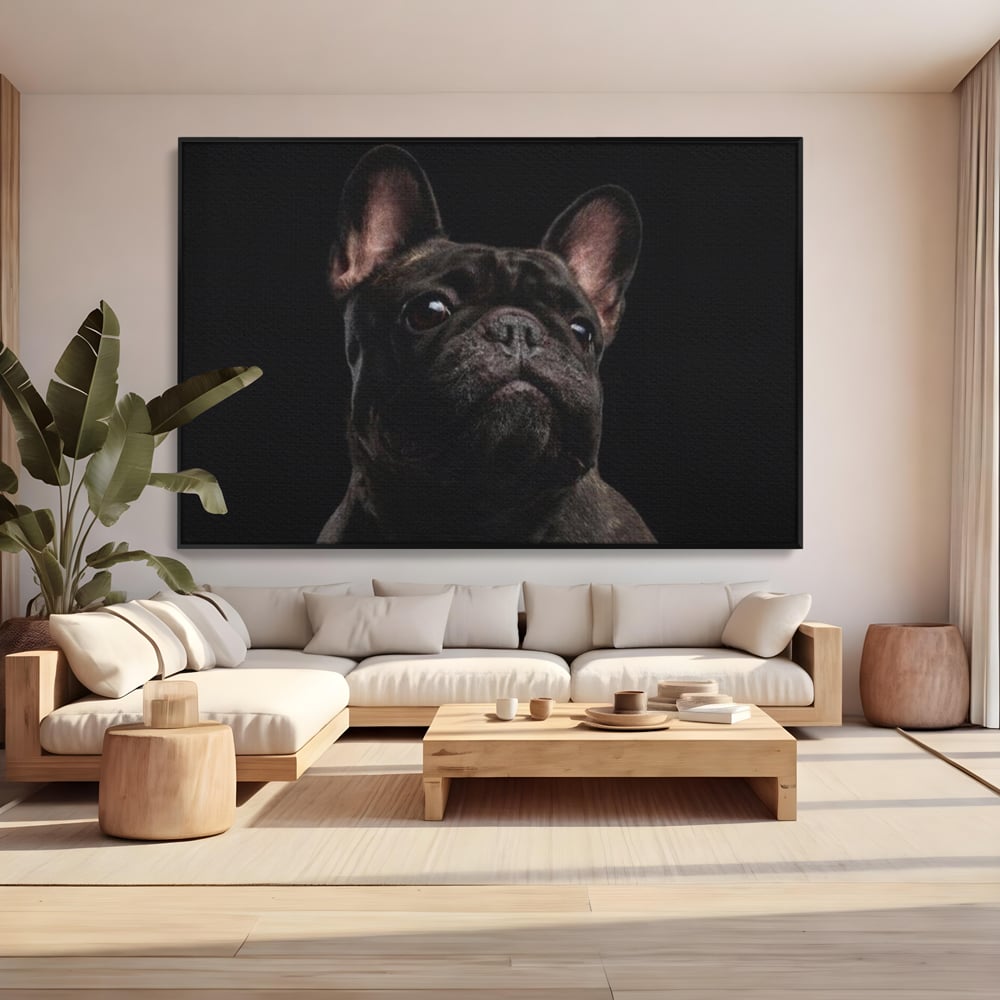 Leinwand Premium Canvas Wandkunst, LuxCanva® M1260, Bulldogge im Schatten, Porträt, Bulldogge, Bulldogge, Hund, Hund, dunkel, kynologisch, Tier, ausdrucksstark, realistisch, Rasse, Büro, Wohnen, Kinderzimmer