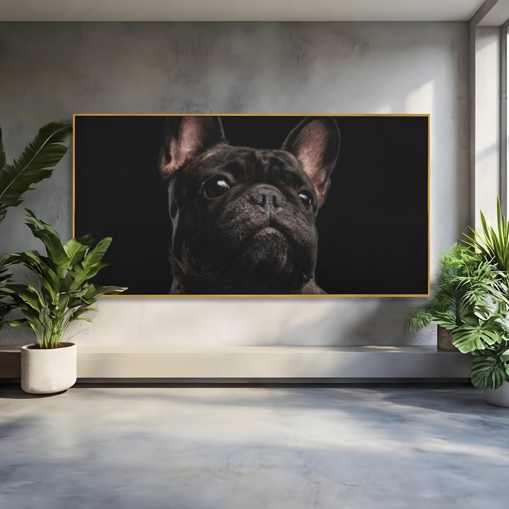 Leinwand Premium Canvas Wandkunst, LuxCanva® M1260, Bulldogge im Schatten, Porträt, Bulldogge, Bulldogge, Hund, Hund, dunkel, kynologisch, Tier, ausdrucksstark, realistisch, Rasse, Büro, Wohnen, Kinderzimmer