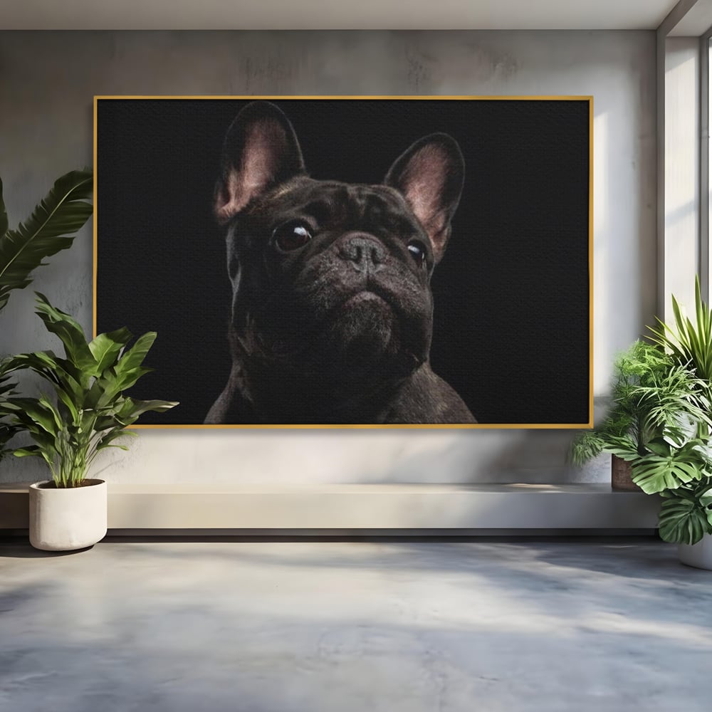 Leinwand Premium Canvas Wandkunst, LuxCanva® M1260, Bulldogge im Schatten, Porträt, Bulldogge, Bulldogge, Hund, Hund, dunkel, kynologisch, Tier, ausdrucksstark, realistisch, Rasse, Büro, Wohnen, Kinderzimmer
