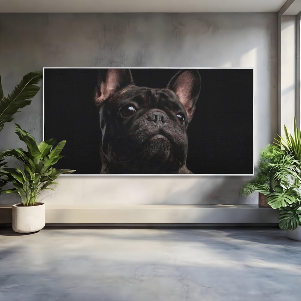 Leinwand Premium Canvas Wandkunst, LuxCanva® M1260, Bulldogge im Schatten, Porträt, Bulldogge, Bulldogge, Hund, Hund, dunkel, kynologisch, Tier, ausdrucksstark, realistisch, Rasse, Büro, Wohnen, Kinderzimmer