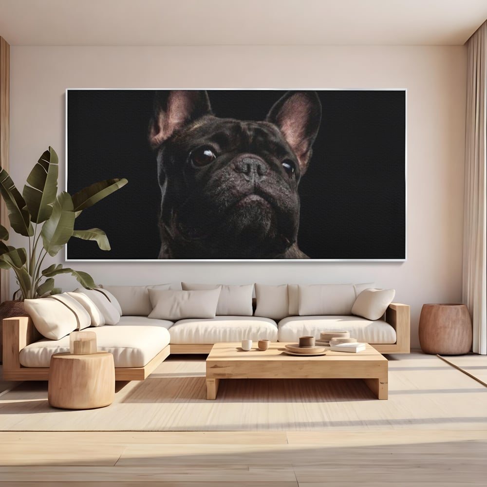 Leinwand Premium Canvas Wandkunst, LuxCanva® M1260, Bulldogge im Schatten, Porträt, Bulldogge, Bulldogge, Hund, Hund, dunkel, kynologisch, Tier, ausdrucksstark, realistisch, Rasse, Büro, Wohnen, Kinderzimmer