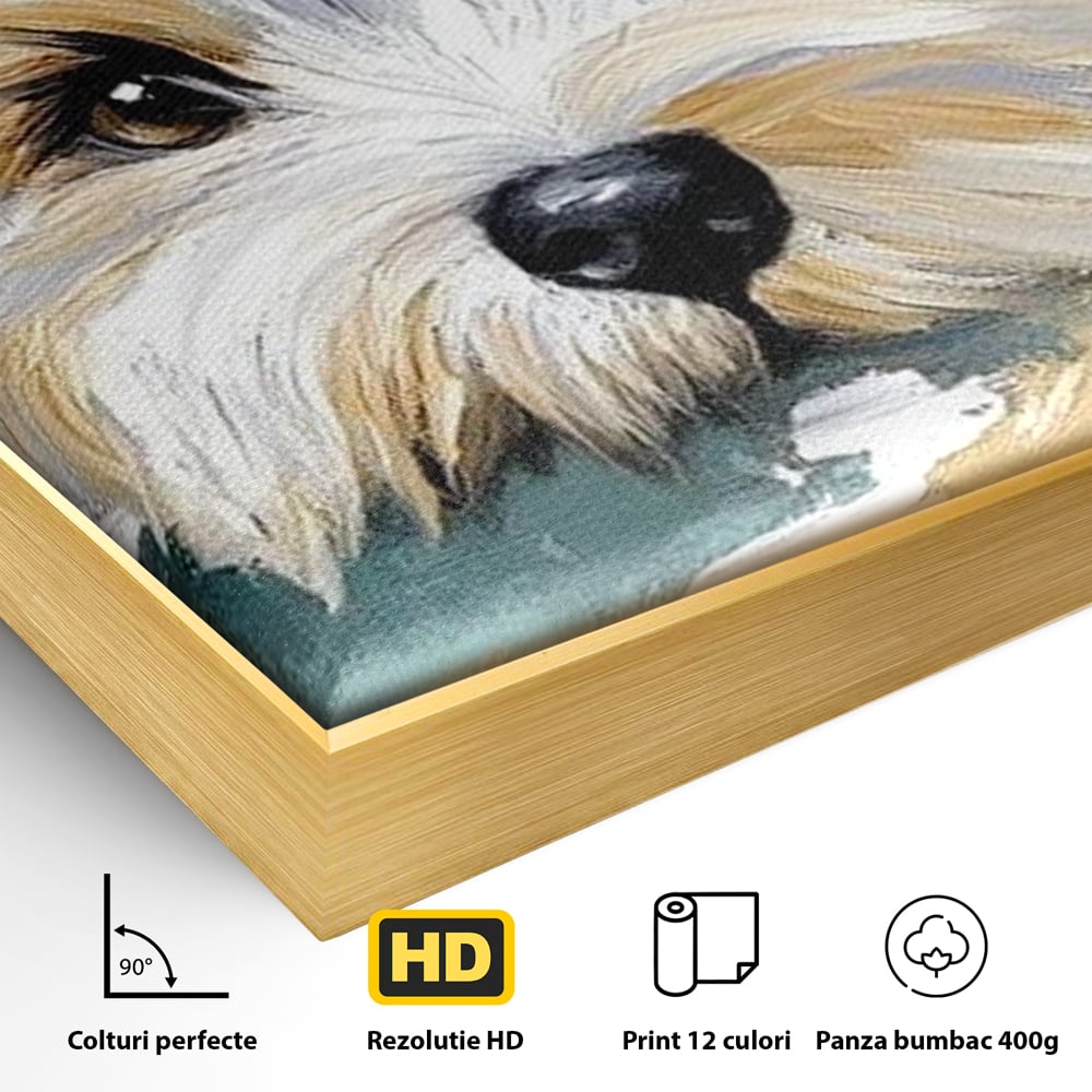 Tablou Canvas Premium, LuxCanva® M1262, Urechiuse la Panda, Yorkshire, Joaca, Curiozitate, Blanita, Simpatic, Privire, Portret, Perete, Pictura, Caine, Birou, Living, Camera Copil