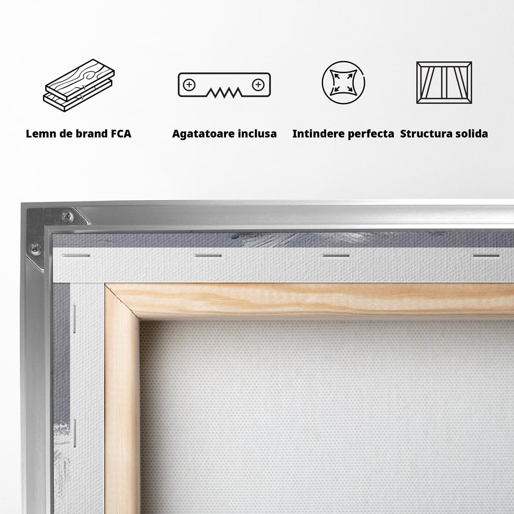 Tablou Canvas Premium, LuxCanva® M1262, Urechiuse la Panda, Yorkshire, Joaca, Curiozitate, Blanita, Simpatic, Privire, Portret, Perete, Pictura, Caine, Birou, Living, Camera Copil