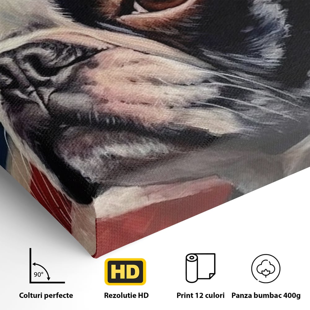 Leinwandbilder Premium, LuxCanva® M1265, Boston unter der Flagge, Patriotismus, Flagge, Amerika, Hund, Freiheit, Ehre, Mut, Freiheit, Portrait, Profil, Büro, Wohnen, Kinderzimmer
