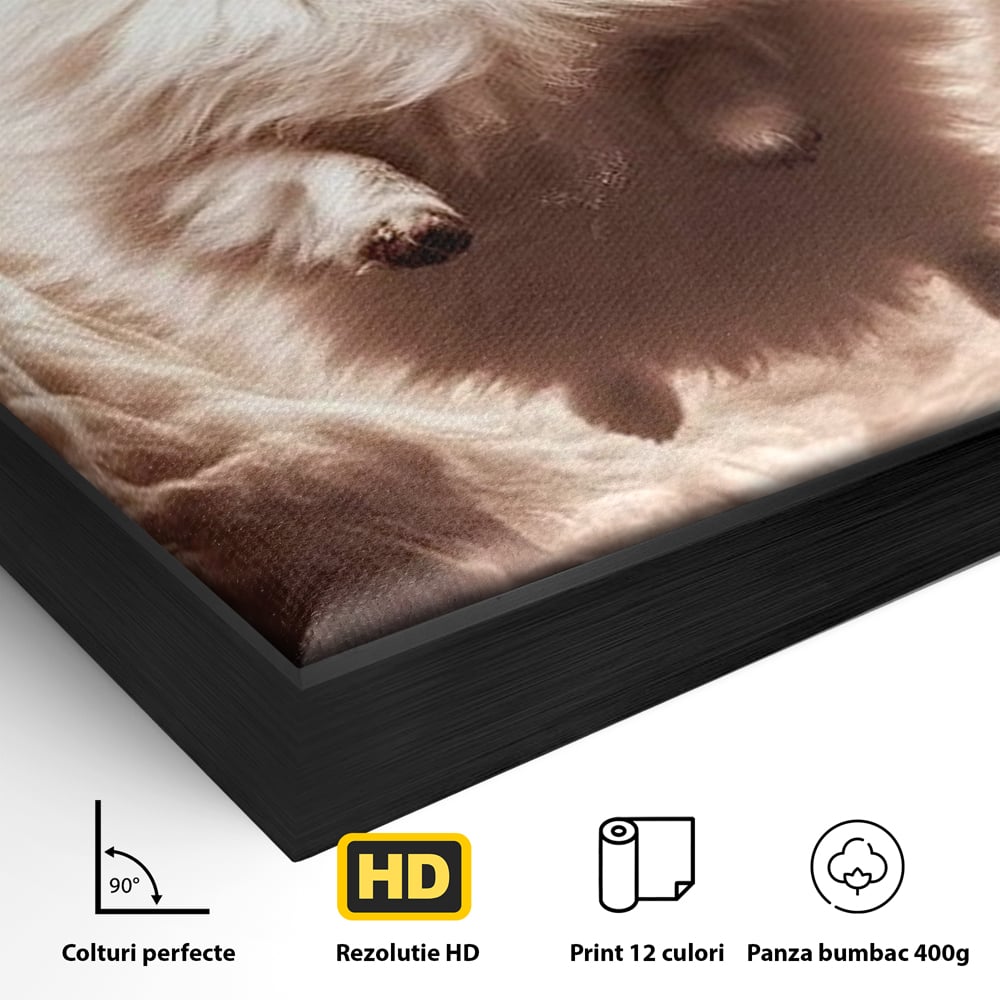 Tablou Canvas Premium, LuxCanva® M1268, Taramul Viselor Pufoase, Pomeranian, Pufos, Vortex, Nori, Mistic, Catel, Blanos, Lumina, Angelic, Miscare, Fantastic, Birou, Living, Camera Copil
