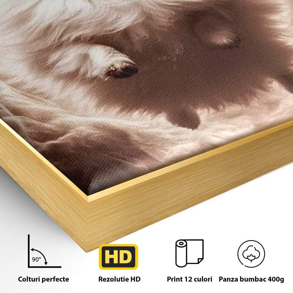 Tablou Canvas Premium, LuxCanva® M1268, Taramul Viselor Pufoase, Pomeranian, Pufos, Vortex, Nori, Mistic, Catel, Blanos, Lumina, Angelic, Miscare, Fantastic, Birou, Living, Camera Copil