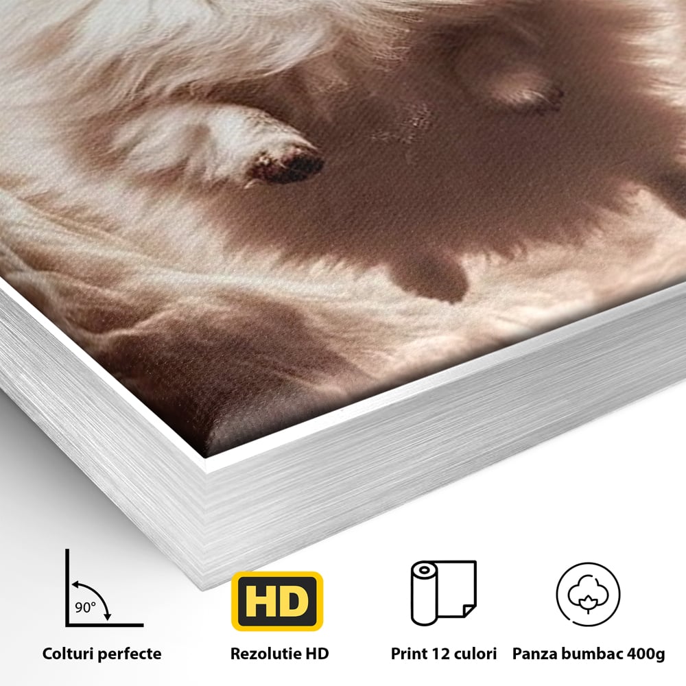 Tablou Canvas Premium, LuxCanva® M1268, Taramul Viselor Pufoase, Pomeranian, Pufos, Vortex, Nori, Mistic, Catel, Blanos, Lumina, Angelic, Miscare, Fantastic, Birou, Living, Camera Copil