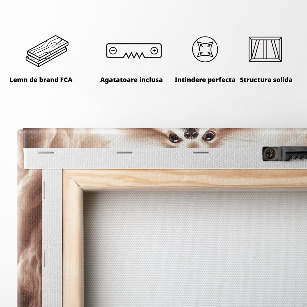 Tablou Canvas Premium, LuxCanva® M1268, Taramul Viselor Pufoase, Pomeranian, Pufos, Vortex, Nori, Mistic, Catel, Blanos, Lumina, Angelic, Miscare, Fantastic, Birou, Living, Camera Copil