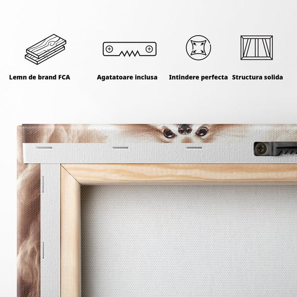 Tablou Canvas Premium, LuxCanva® M1268, Taramul Viselor Pufoase, Pomeranian, Pufos, Vortex, Nori, Mistic, Catel, Blanos, Lumina, Angelic, Miscare, Fantastic, Birou, Living, Camera Copil