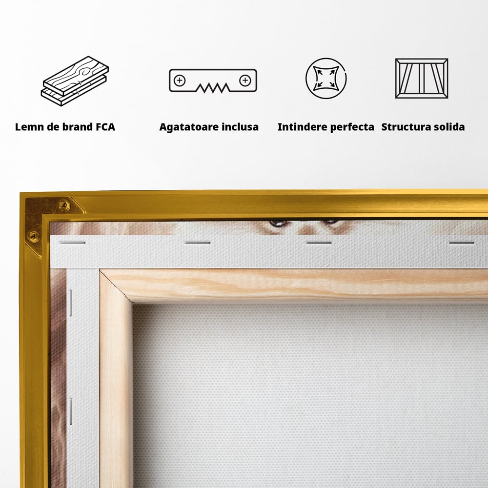 Tablou Canvas Premium, LuxCanva® M1268, Taramul Viselor Pufoase, Pomeranian, Pufos, Vortex, Nori, Mistic, Catel, Blanos, Lumina, Angelic, Miscare, Fantastic, Birou, Living, Camera Copil