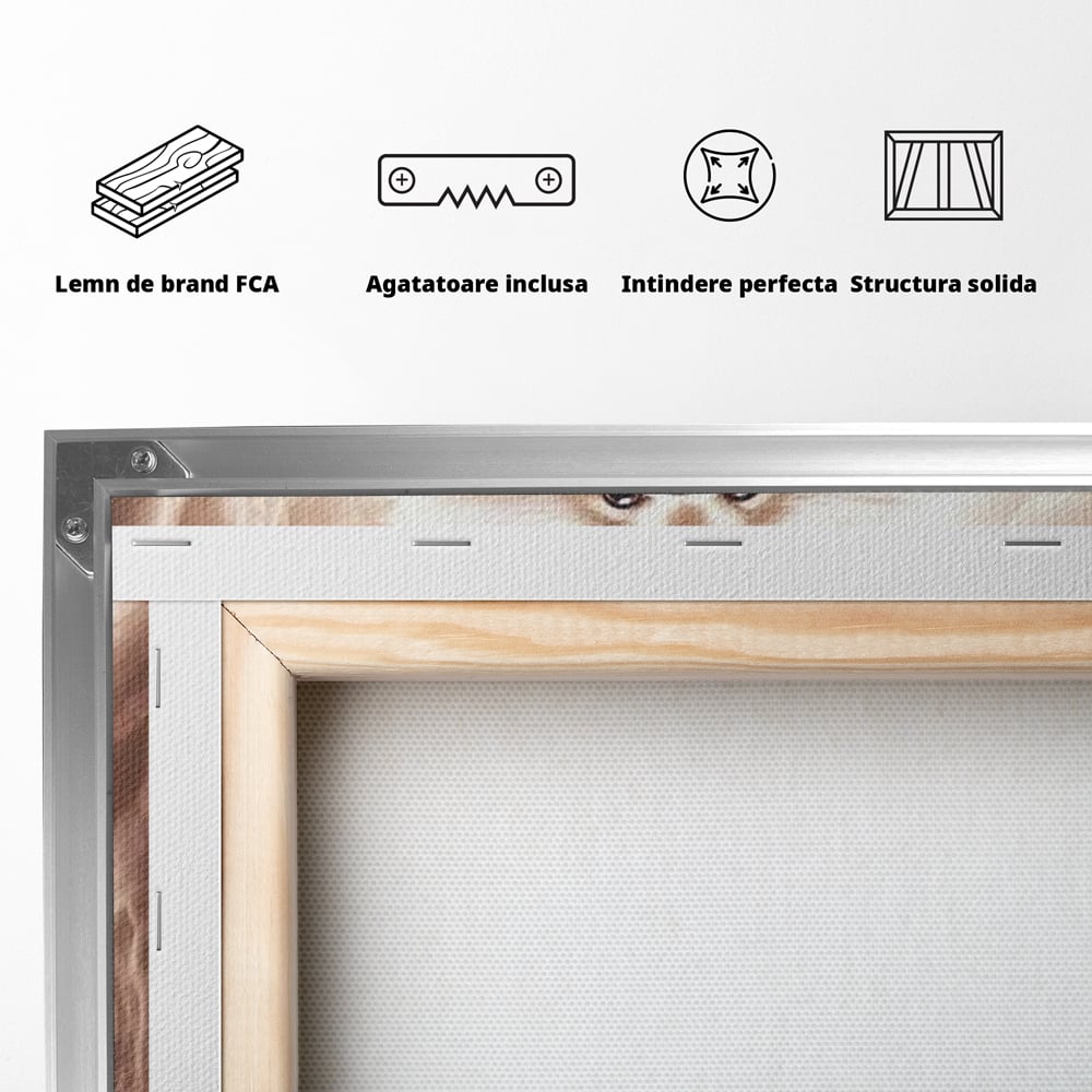 Tablou Canvas Premium, LuxCanva® M1268, Taramul Viselor Pufoase, Pomeranian, Pufos, Vortex, Nori, Mistic, Catel, Blanos, Lumina, Angelic, Miscare, Fantastic, Birou, Living, Camera Copil