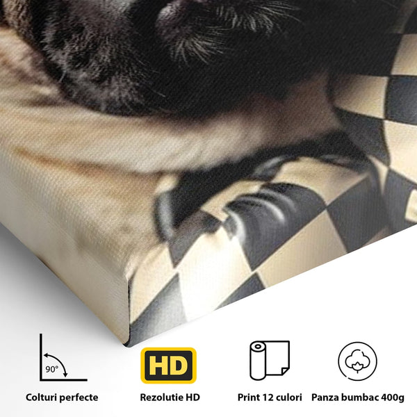 Fotoleinwand Canvas Premium, LuxCanva® M1269, Champion mit umgedrehter Schnauze, Mops, Handschuhe, Boxen, Sport, Energie, mutig, Aussehen, Kämpfer, Champion, Sieger, lustig, Portrait, Büro, Wohnen, Kinderzimmer