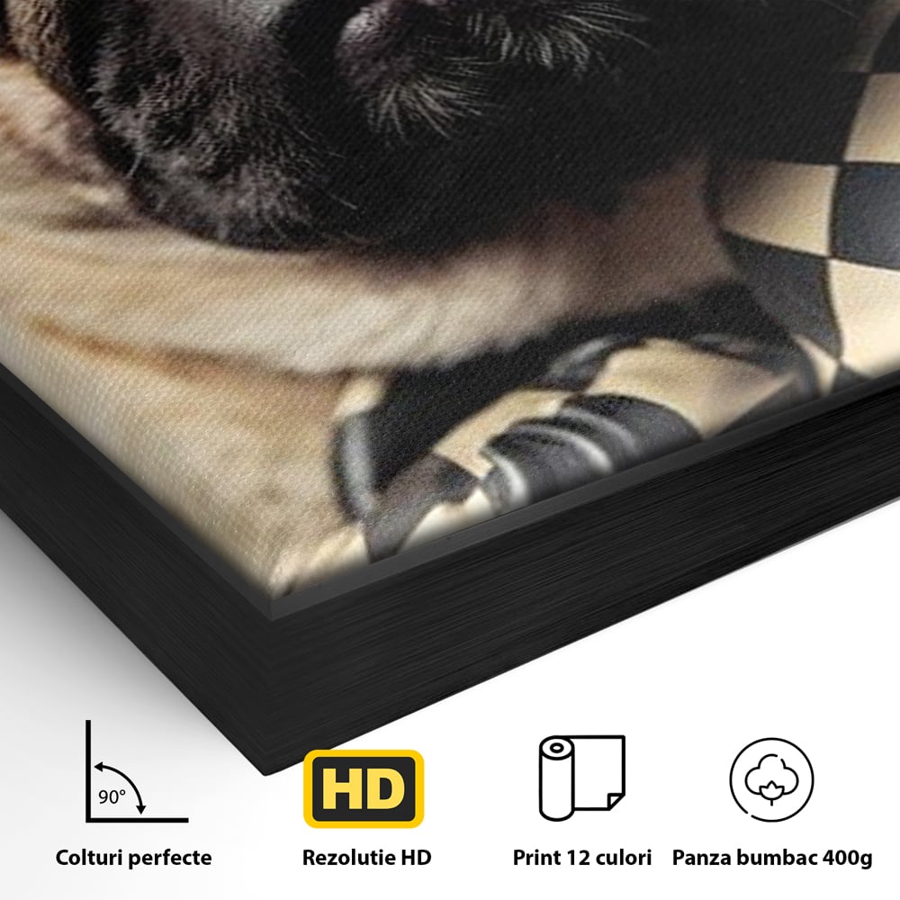 Fotoleinwand Canvas Premium, LuxCanva® M1269, Champion mit umgedrehter Schnauze, Mops, Handschuhe, Boxen, Sport, Energie, mutig, Aussehen, Kämpfer, Champion, Sieger, lustig, Portrait, Büro, Wohnen, Kinderzimmer