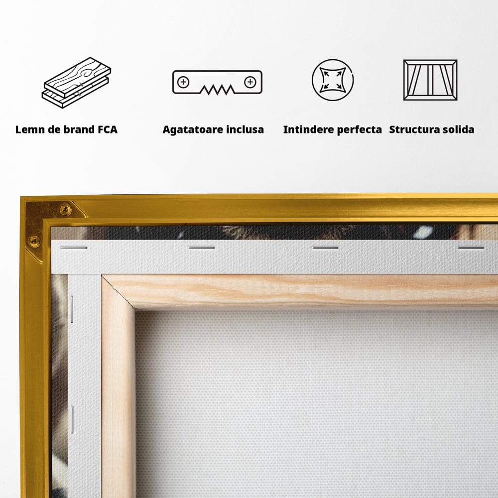 Fotoleinwand Canvas Premium, LuxCanva® M1269, Champion mit umgedrehter Schnauze, Mops, Handschuhe, Boxen, Sport, Energie, mutig, Aussehen, Kämpfer, Champion, Sieger, lustig, Portrait, Büro, Wohnen, Kinderzimmer