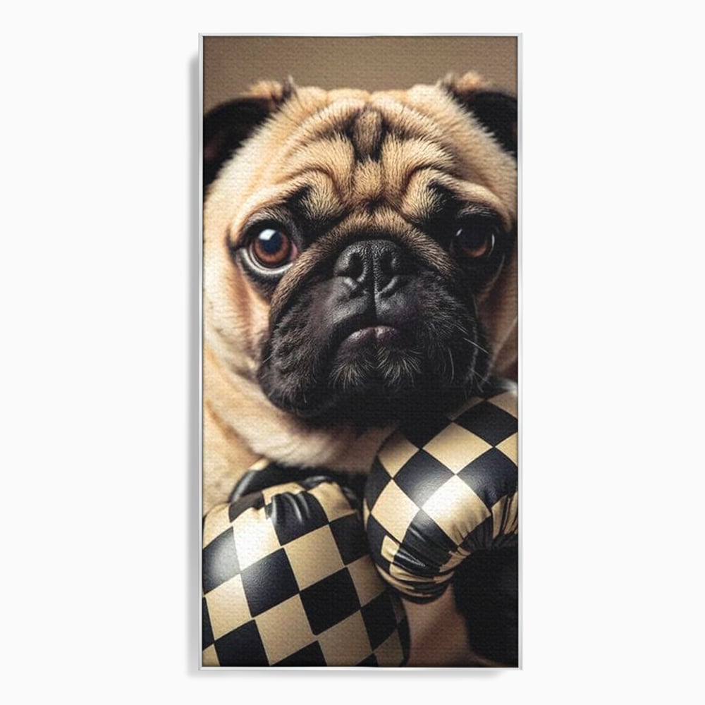 Fotoleinwand Canvas Premium, LuxCanva® M1269, Champion mit umgedrehter Schnauze, Mops, Handschuhe, Boxen, Sport, Energie, mutig, Aussehen, Kämpfer, Champion, Sieger, lustig, Portrait, Büro, Wohnen, Kinderzimmer