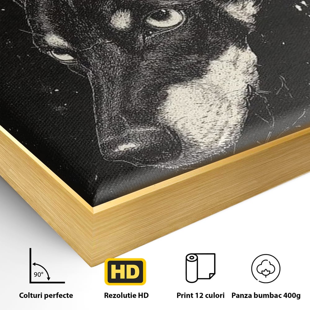 Tablou Canvas Premium, LuxCanva® M1273, Coltul Noptii, Caine, Salbatic, Periculos, Animal, Rebel, Vintage, Chip, Portret, Alfa, Vanator, Birou, Living, Camera Copil