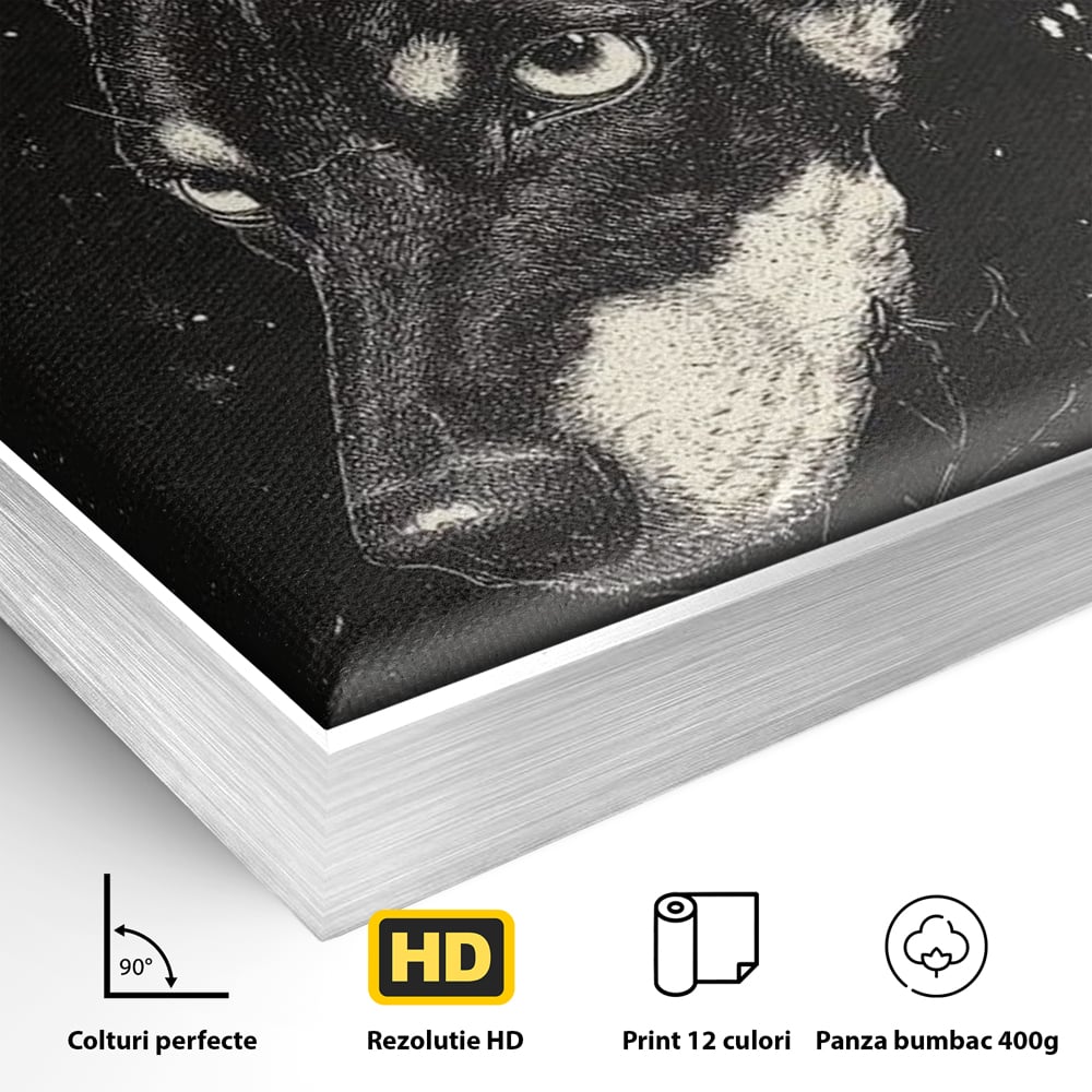 Tablou Canvas Premium, LuxCanva® M1273, Coltul Noptii, Caine, Salbatic, Periculos, Animal, Rebel, Vintage, Chip, Portret, Alfa, Vanator, Birou, Living, Camera Copil