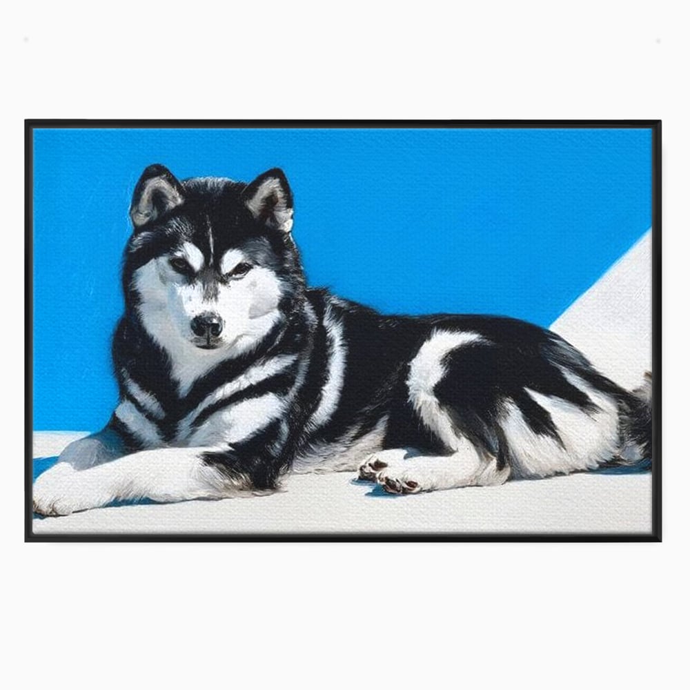 Leinwand Wandbild Leinwand Premium, LuxCanva® M1278, Ein pelziger Husky, Gemütlich, Hund, Husky, Haushund, Husky, nordisch, Blau, Entspannend, Leicht, Elegant, Schön, Büro, Wohnen, Kinderzimmer
