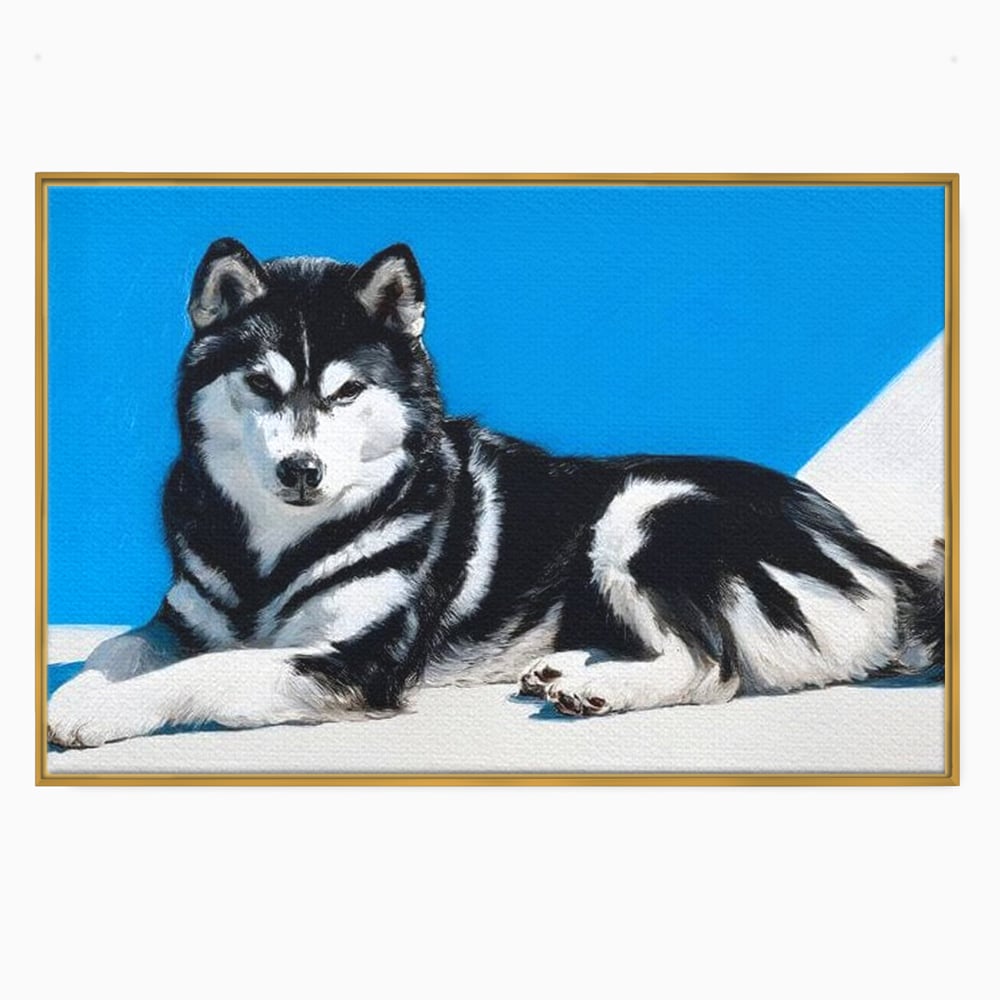 Leinwand Wandbild Leinwand Premium, LuxCanva® M1278, Ein pelziger Husky, Gemütlich, Hund, Husky, Haushund, Husky, nordisch, Blau, Entspannend, Leicht, Elegant, Schön, Büro, Wohnen, Kinderzimmer