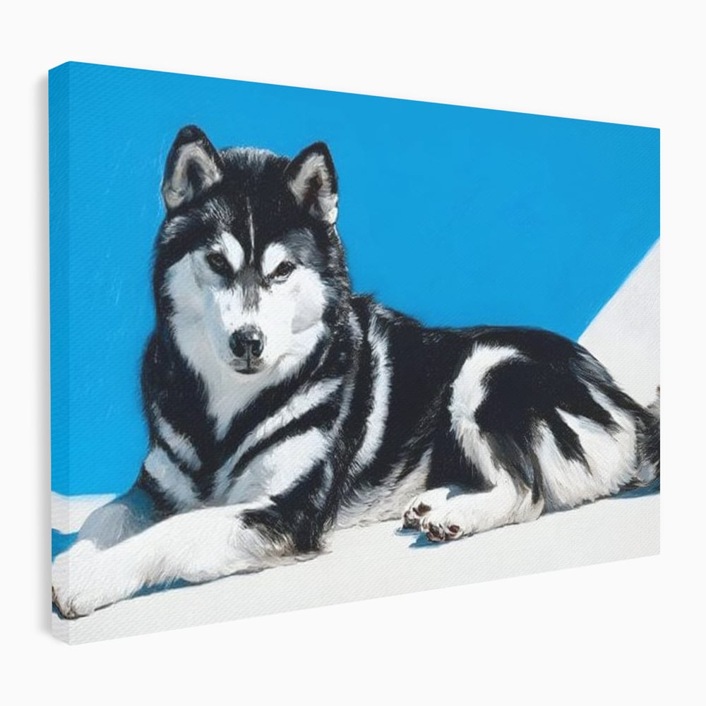 Leinwand Wandbild Leinwand Premium, LuxCanva® M1278, Ein pelziger Husky, Gemütlich, Hund, Husky, Haushund, Husky, nordisch, Blau, Entspannend, Leicht, Elegant, Schön, Büro, Wohnen, Kinderzimmer