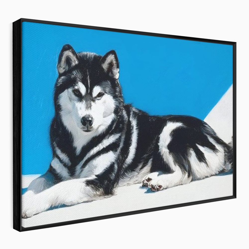 Leinwand Wandbild Leinwand Premium, LuxCanva® M1278, Ein pelziger Husky, Gemütlich, Hund, Husky, Haushund, Husky, nordisch, Blau, Entspannend, Leicht, Elegant, Schön, Büro, Wohnen, Kinderzimmer
