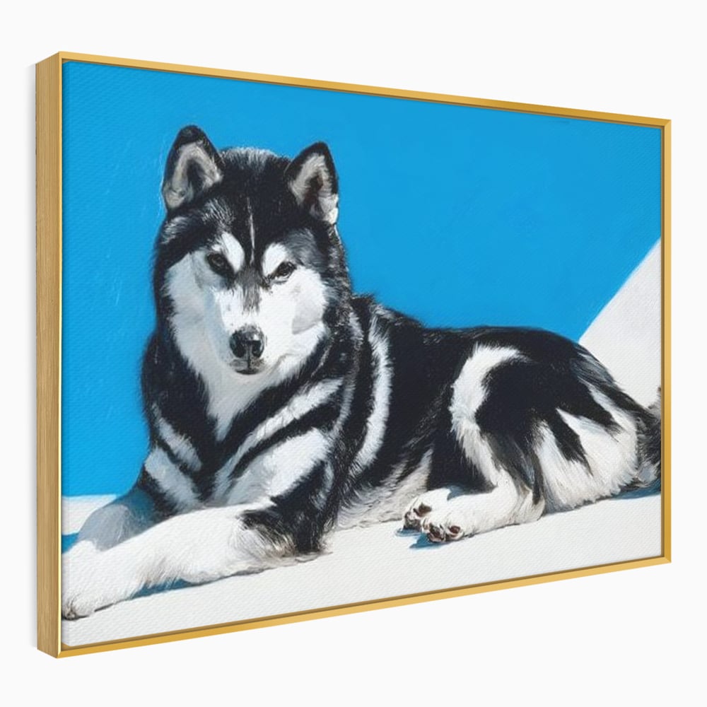 Leinwand Wandbild Leinwand Premium, LuxCanva® M1278, Ein pelziger Husky, Gemütlich, Hund, Husky, Haushund, Husky, nordisch, Blau, Entspannend, Leicht, Elegant, Schön, Büro, Wohnen, Kinderzimmer