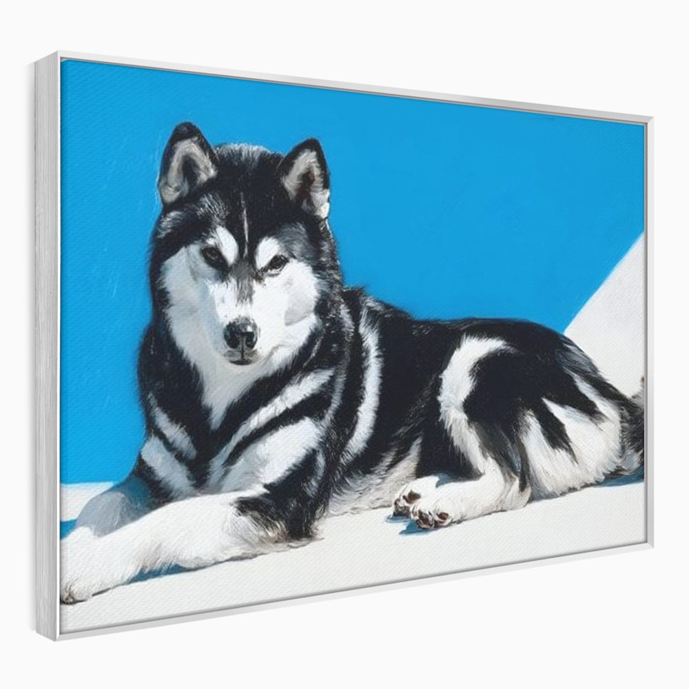 Leinwand Wandbild Leinwand Premium, LuxCanva® M1278, Ein pelziger Husky, Gemütlich, Hund, Husky, Haushund, Husky, nordisch, Blau, Entspannend, Leicht, Elegant, Schön, Büro, Wohnen, Kinderzimmer
