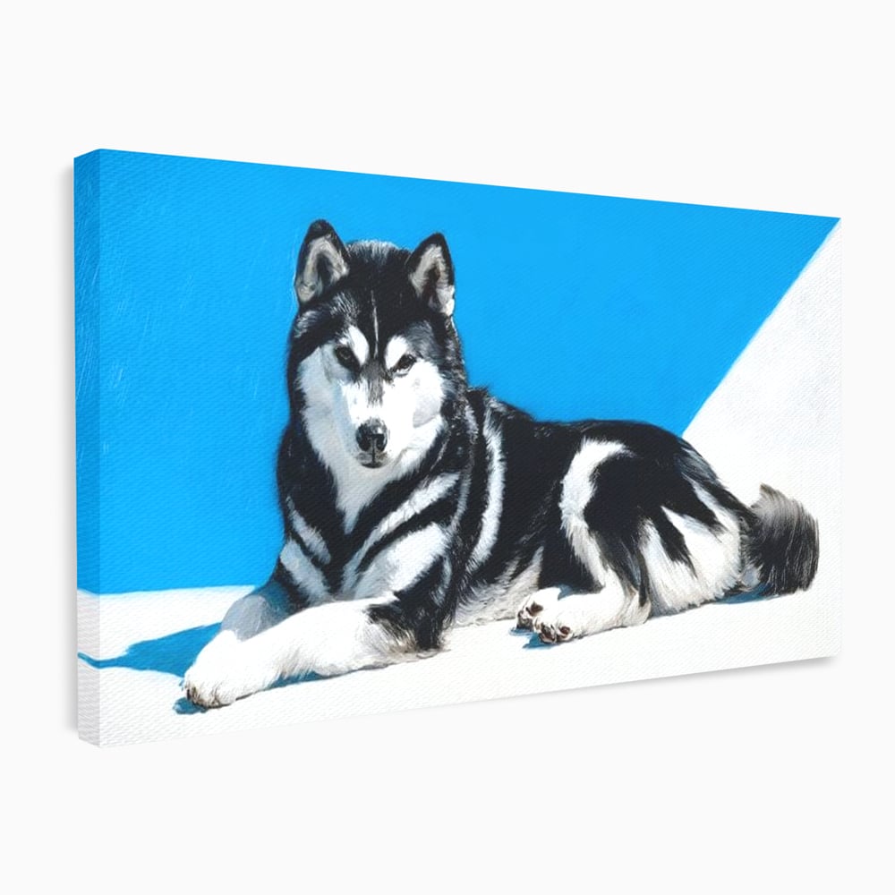 Leinwand Wandbild Leinwand Premium, LuxCanva® M1278, Ein pelziger Husky, Gemütlich, Hund, Husky, Haushund, Husky, nordisch, Blau, Entspannend, Leicht, Elegant, Schön, Büro, Wohnen, Kinderzimmer
