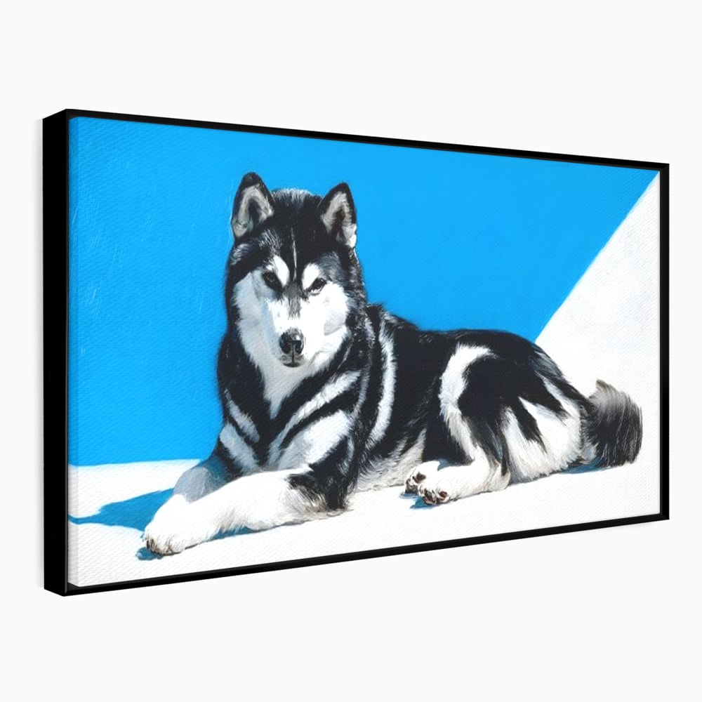 Leinwand Wandbild Leinwand Premium, LuxCanva® M1278, Ein pelziger Husky, Gemütlich, Hund, Husky, Haushund, Husky, nordisch, Blau, Entspannend, Leicht, Elegant, Schön, Büro, Wohnen, Kinderzimmer