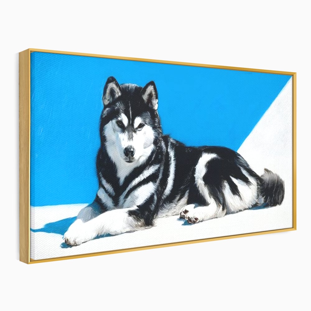 Leinwand Wandbild Leinwand Premium, LuxCanva® M1278, Ein pelziger Husky, Gemütlich, Hund, Husky, Haushund, Husky, nordisch, Blau, Entspannend, Leicht, Elegant, Schön, Büro, Wohnen, Kinderzimmer