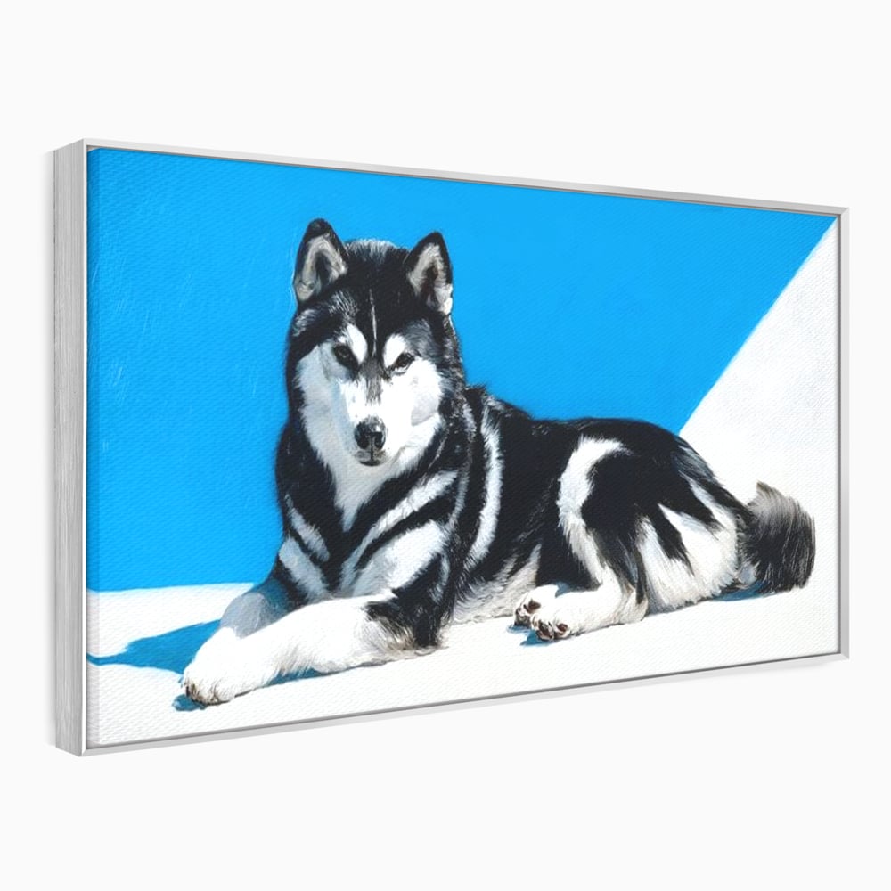 Leinwand Wandbild Leinwand Premium, LuxCanva® M1278, Ein pelziger Husky, Gemütlich, Hund, Husky, Haushund, Husky, nordisch, Blau, Entspannend, Leicht, Elegant, Schön, Büro, Wohnen, Kinderzimmer