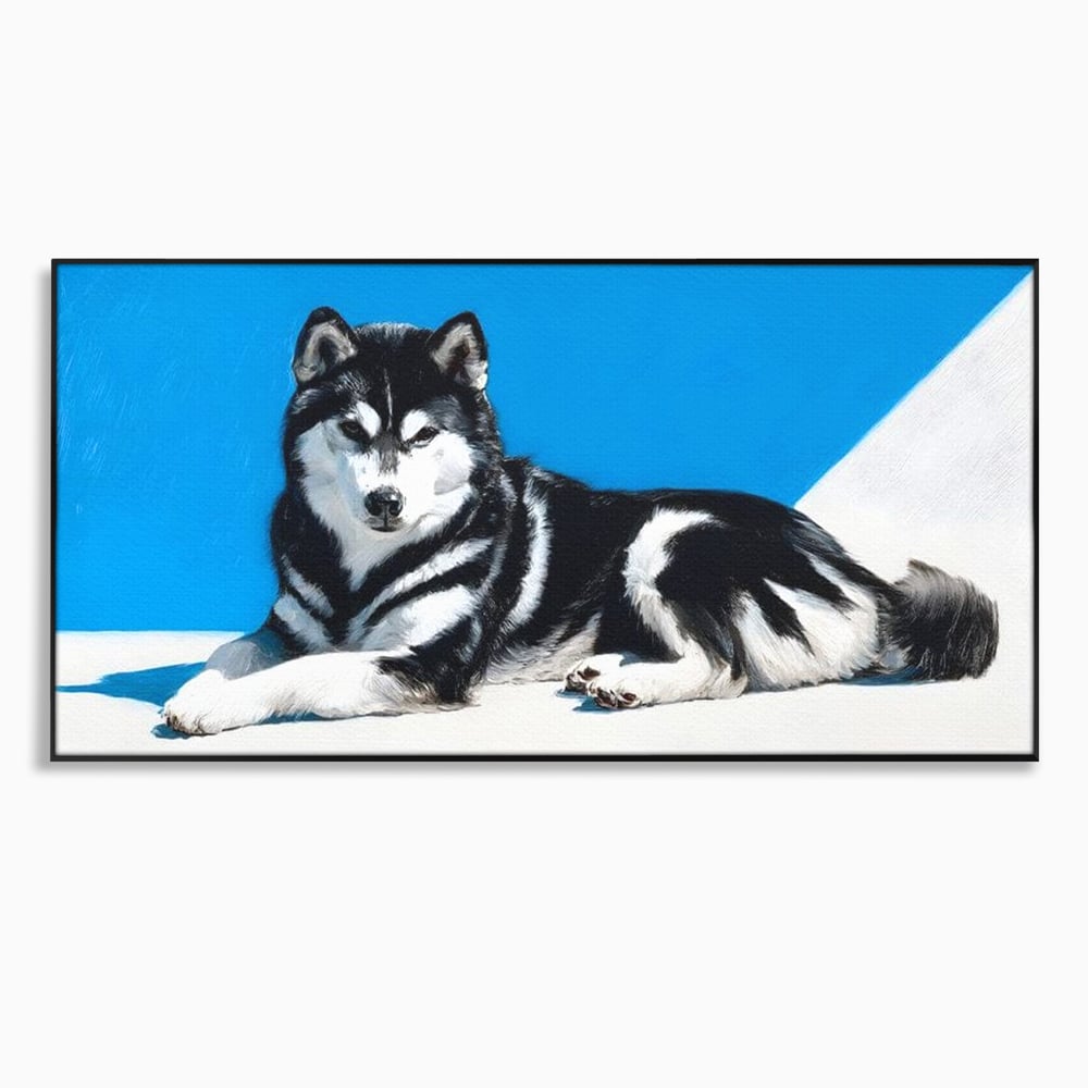 Leinwand Wandbild Leinwand Premium, LuxCanva® M1278, Ein pelziger Husky, Gemütlich, Hund, Husky, Haushund, Husky, nordisch, Blau, Entspannend, Leicht, Elegant, Schön, Büro, Wohnen, Kinderzimmer