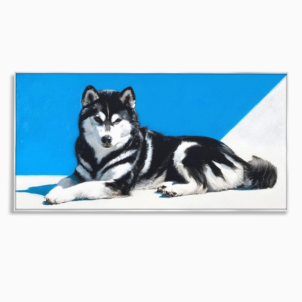 Leinwand Wandbild Leinwand Premium, LuxCanva® M1278, Ein pelziger Husky, Gemütlich, Hund, Husky, Haushund, Husky, nordisch, Blau, Entspannend, Leicht, Elegant, Schön, Büro, Wohnen, Kinderzimmer