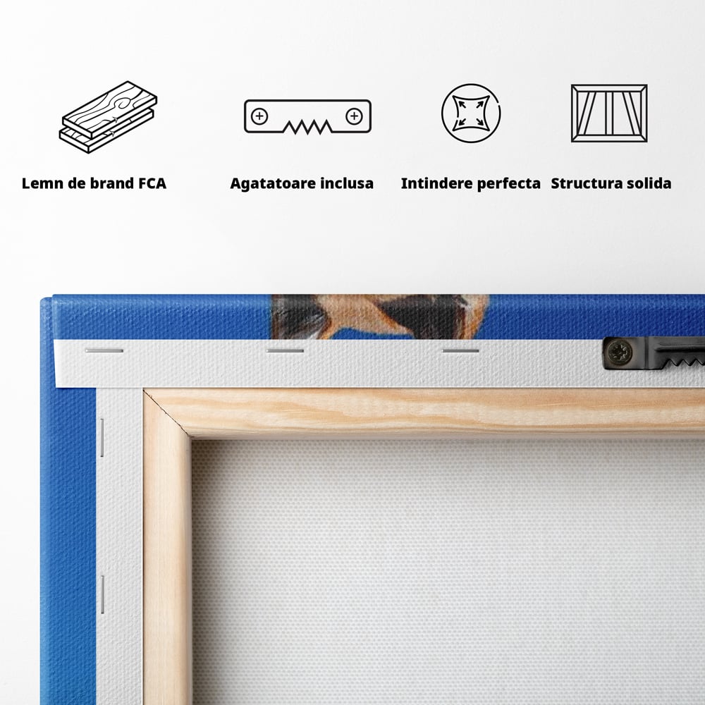 Tablou Canvas Premium, LuxCanva® M1279, In Briza Oceanului, Nautic, Marinar, Esarfa, Albastru, Caine, Shiba, Aventura, Relaxare, Franghie, Calatorie, Blanita, Birou, Living, Camera Copil