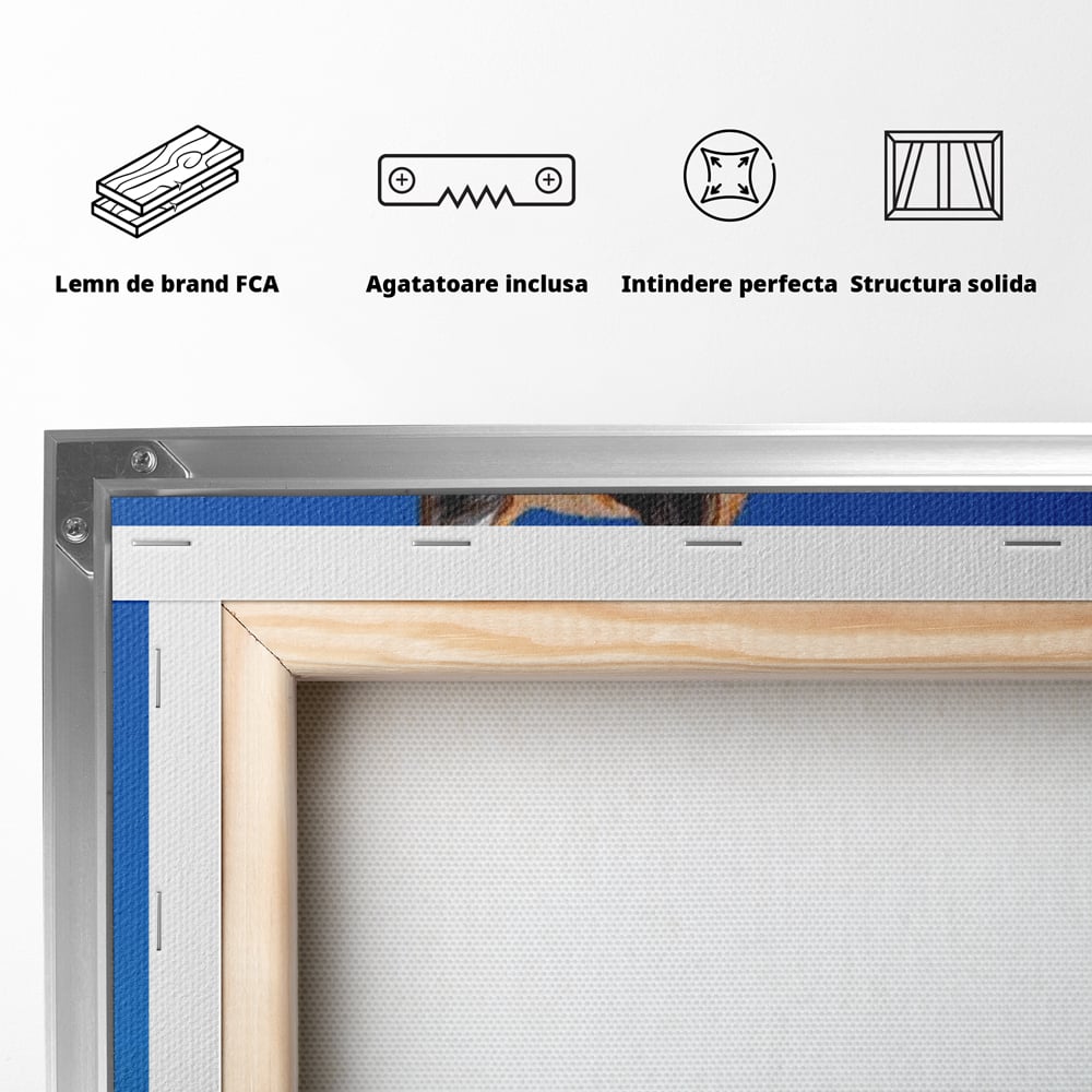 Tablou Canvas Premium, LuxCanva® M1279, In Briza Oceanului, Nautic, Marinar, Esarfa, Albastru, Caine, Shiba, Aventura, Relaxare, Franghie, Calatorie, Blanita, Birou, Living, Camera Copil