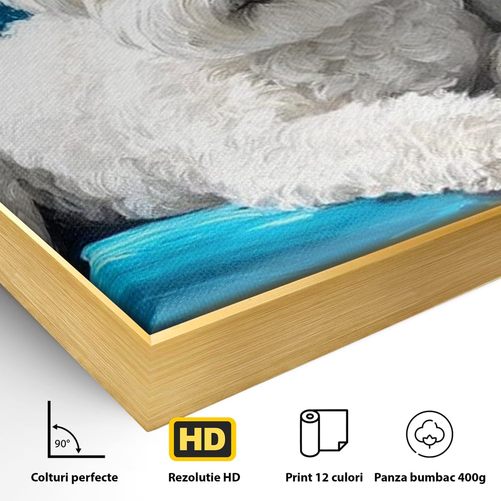 Tablou Canvas Premium, LuxCanva® M1280, Pufosenie Sofisticata, Bichon, Blanos, Canapea, Perna, Eleganta, Rafinament, Pictura, Relaxare, Caine, Confort, Birou, Living, Camera Copil