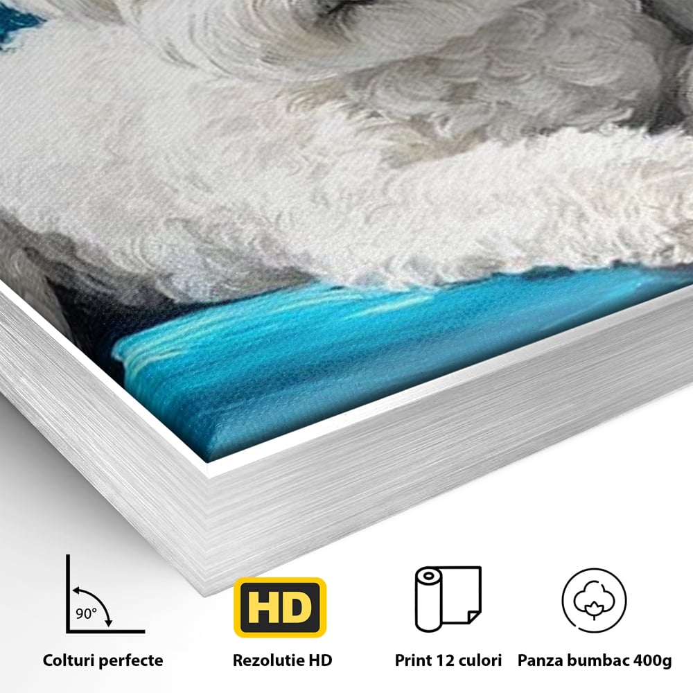 Tablou Canvas Premium, LuxCanva® M1280, Pufosenie Sofisticata, Bichon, Blanos, Canapea, Perna, Eleganta, Rafinament, Pictura, Relaxare, Caine, Confort, Birou, Living, Camera Copil