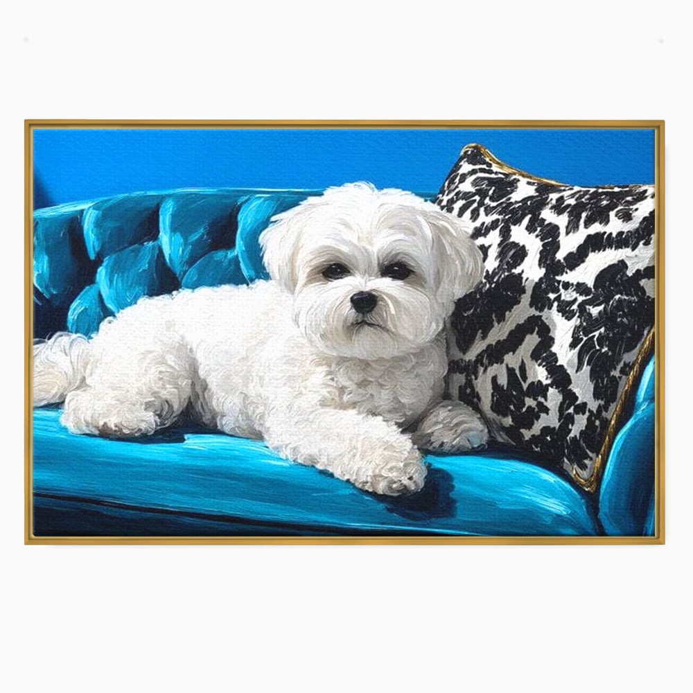 Tablou Canvas Premium, LuxCanva® M1280, Pufosenie Sofisticata, Bichon, Blanos, Canapea, Perna, Eleganta, Rafinament, Pictura, Relaxare, Caine, Confort, Birou, Living, Camera Copil