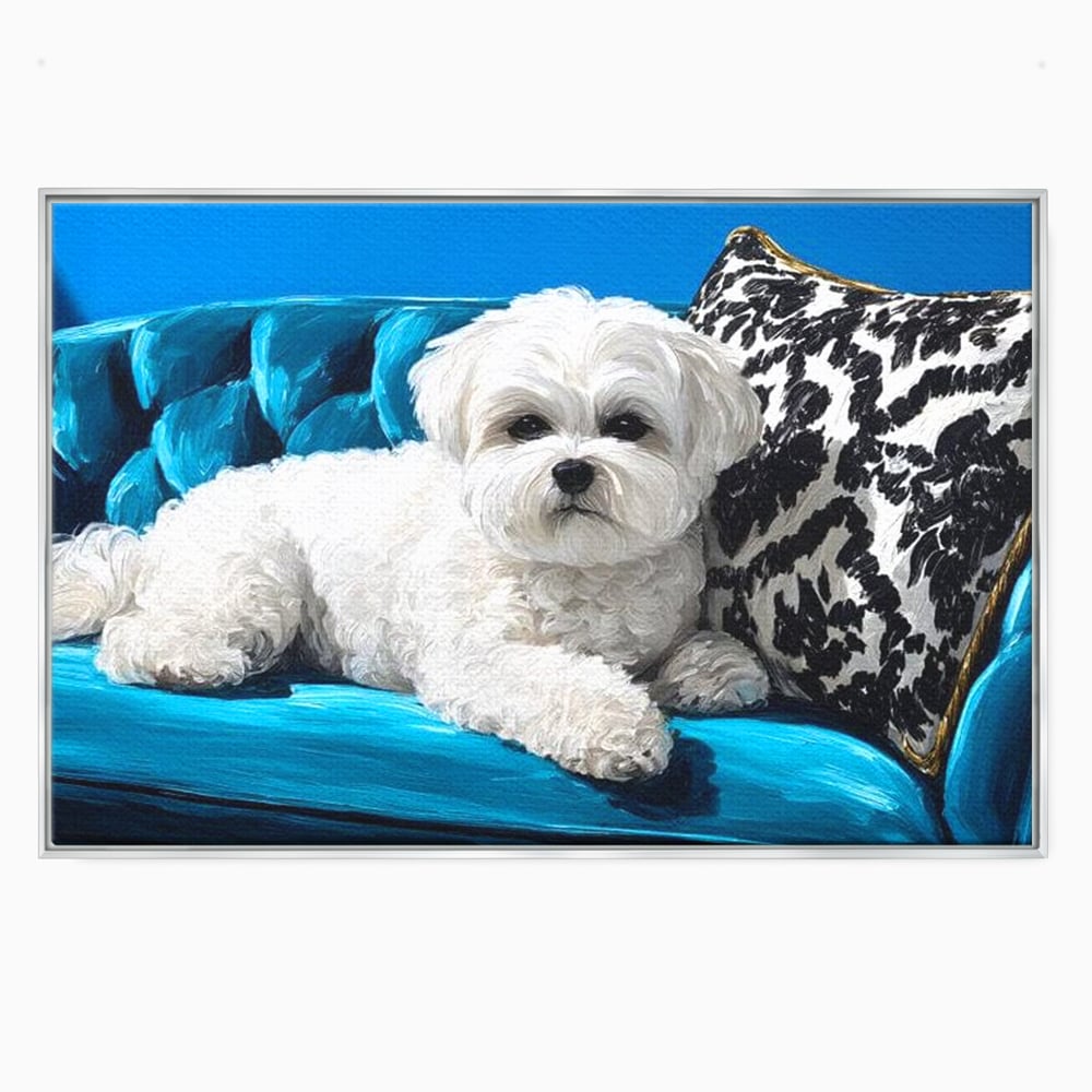 Tablou Canvas Premium, LuxCanva® M1280, Pufosenie Sofisticata, Bichon, Blanos, Canapea, Perna, Eleganta, Rafinament, Pictura, Relaxare, Caine, Confort, Birou, Living, Camera Copil