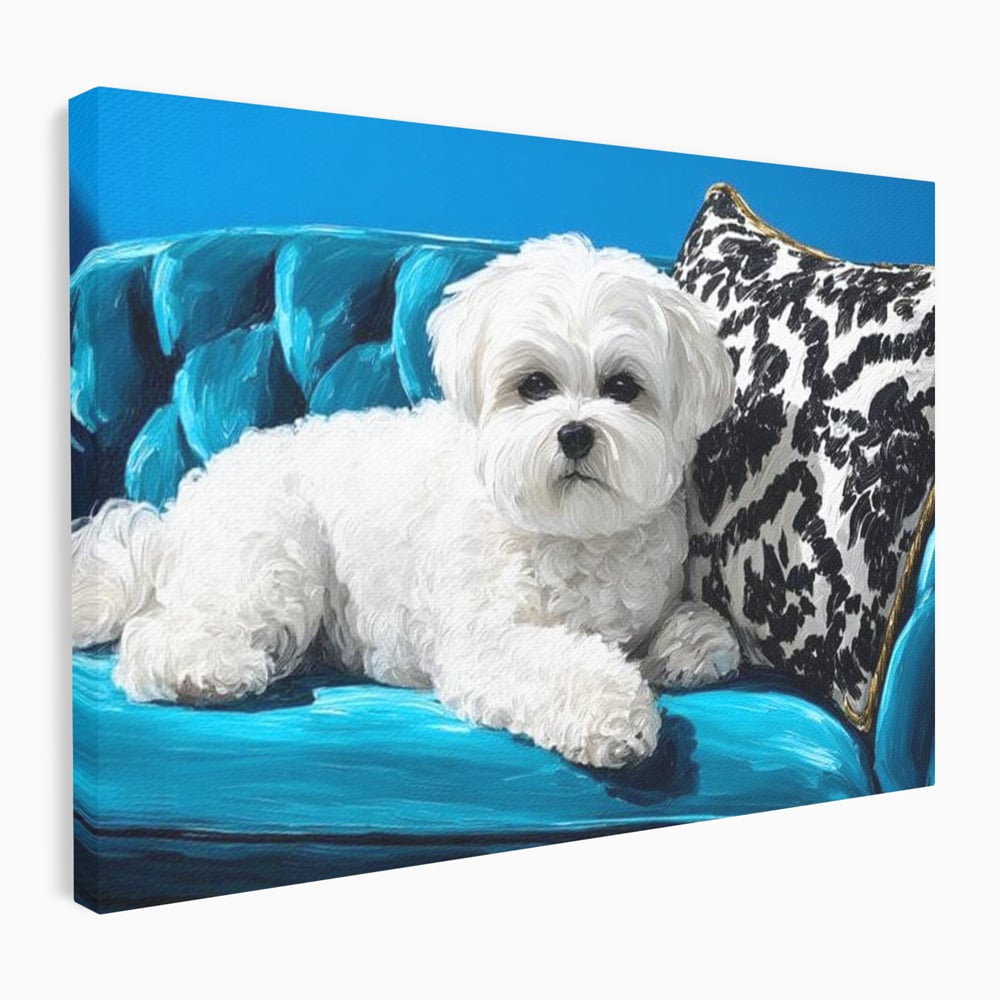 Tablou Canvas Premium, LuxCanva® M1280, Pufosenie Sofisticata, Bichon, Blanos, Canapea, Perna, Eleganta, Rafinament, Pictura, Relaxare, Caine, Confort, Birou, Living, Camera Copil